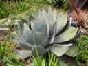 DSCN3624.JPG
