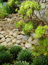 DSCN3625.JPG