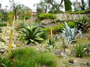 DSCN3628.JPG