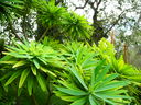 DSCN3629.JPG