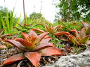 DSCN3630.JPG