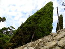 DSCN3631.JPG