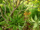 DSCN3653.JPG