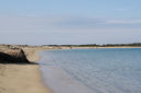 IMG_3376.JPG