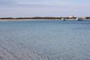 IMG_3377.JPG