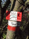 PA124916.JPG