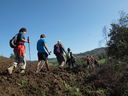 PA124994.JPG