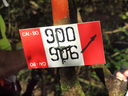 PA125002.JPG