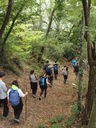 PA125139.JPG
