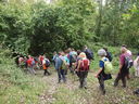 PA125150.JPG
