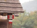 PA125166.JPG