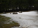 DSCN5586.JPG