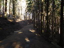 DSCN5597.JPG