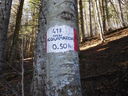 DSCN5600.JPG