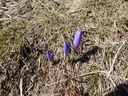 DSCN5627.JPG