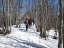DSCN5662.JPG