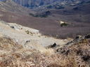 DSCN5665.JPG