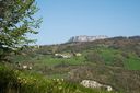 IMG_5192-2.jpg