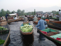 Srinagar